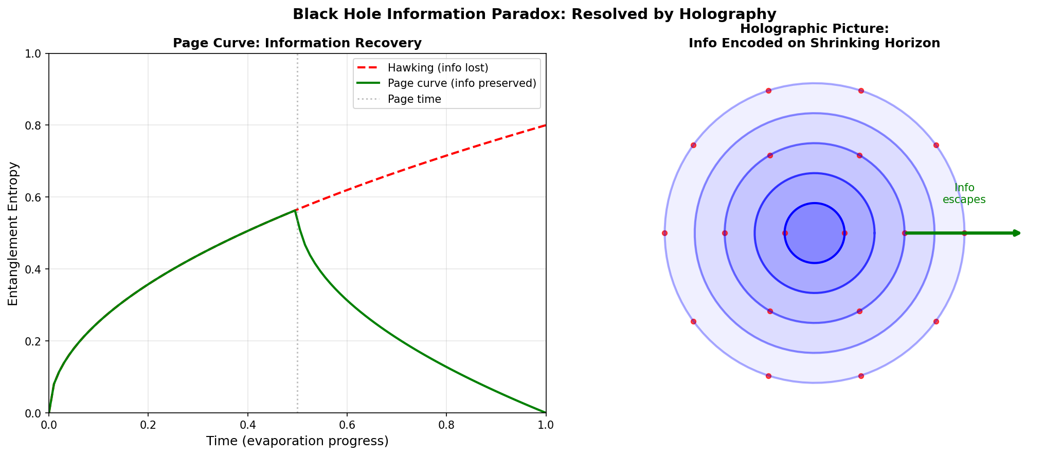 Information Paradox